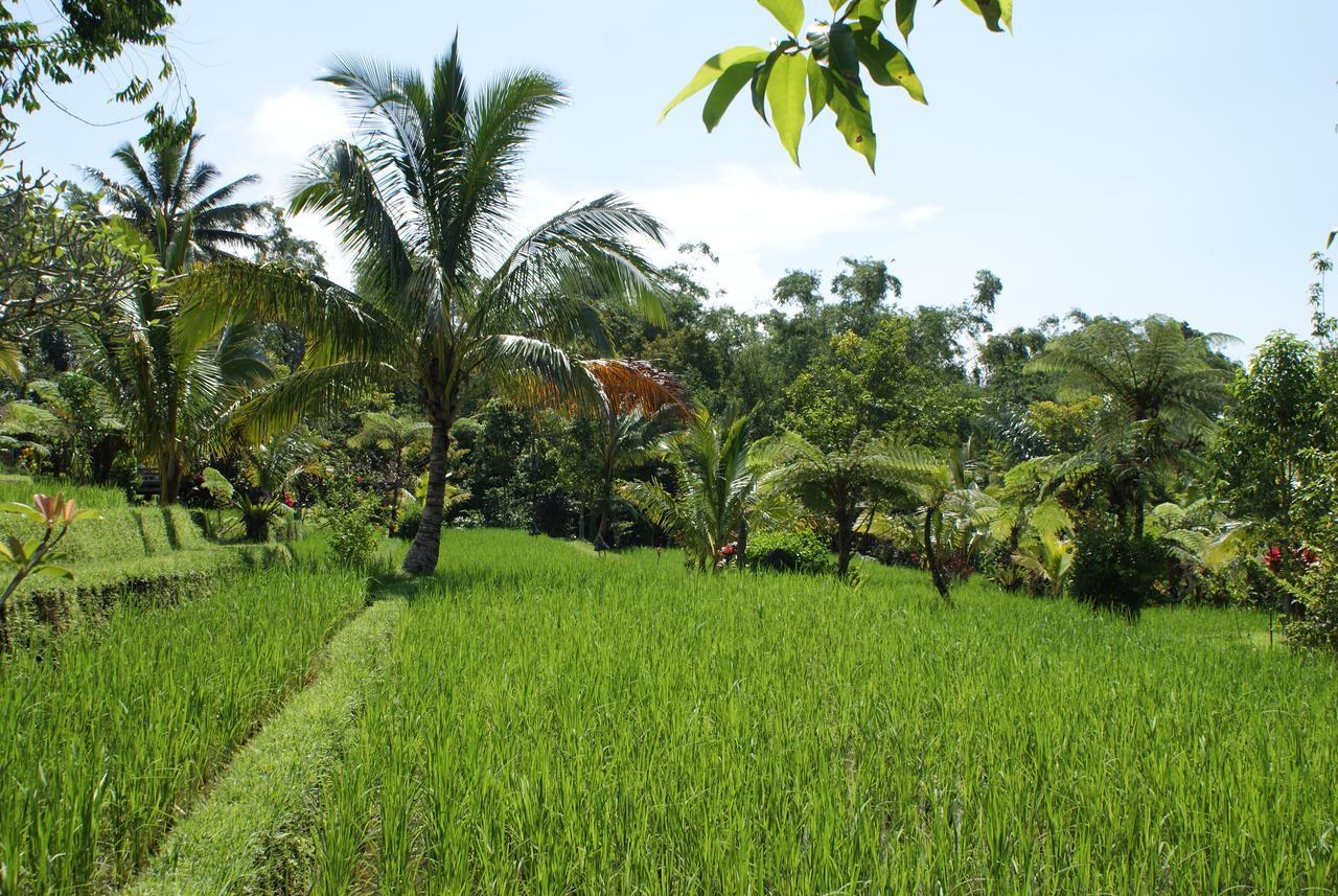 Prana Dewi Mountain Resort Jatiluwih Exteriér fotografie
