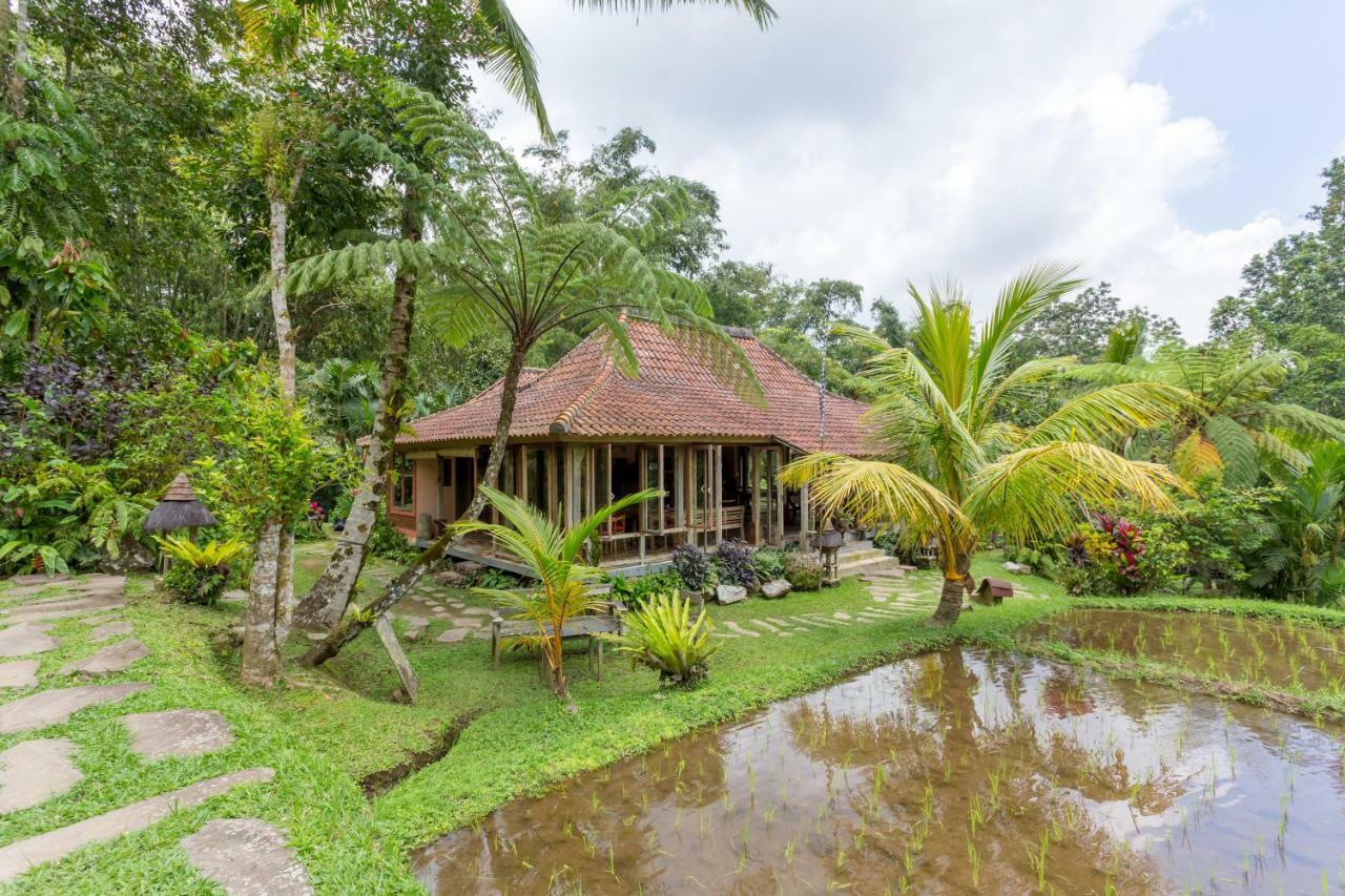 Prana Dewi Mountain Resort Jatiluwih Exteriér fotografie