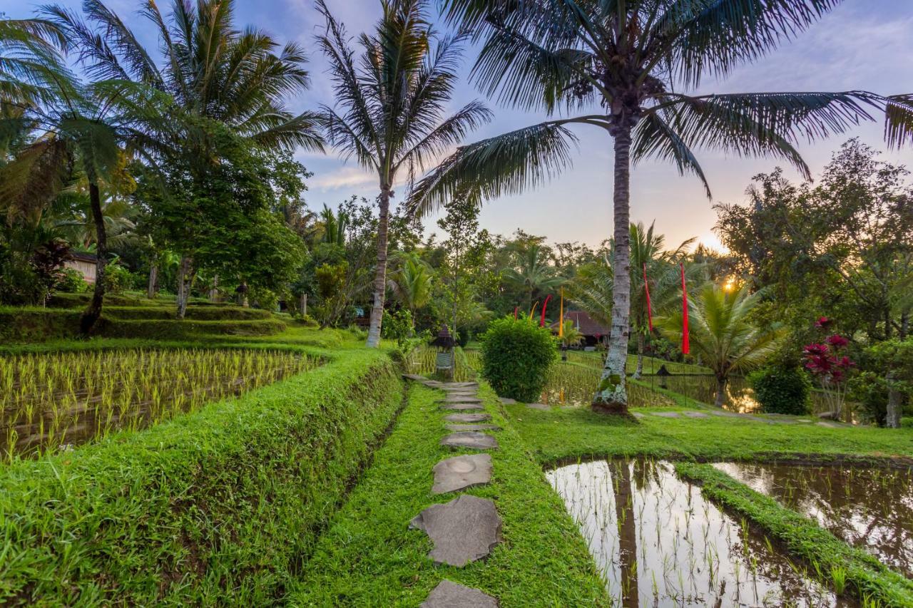 Prana Dewi Mountain Resort Jatiluwih Exteriér fotografie