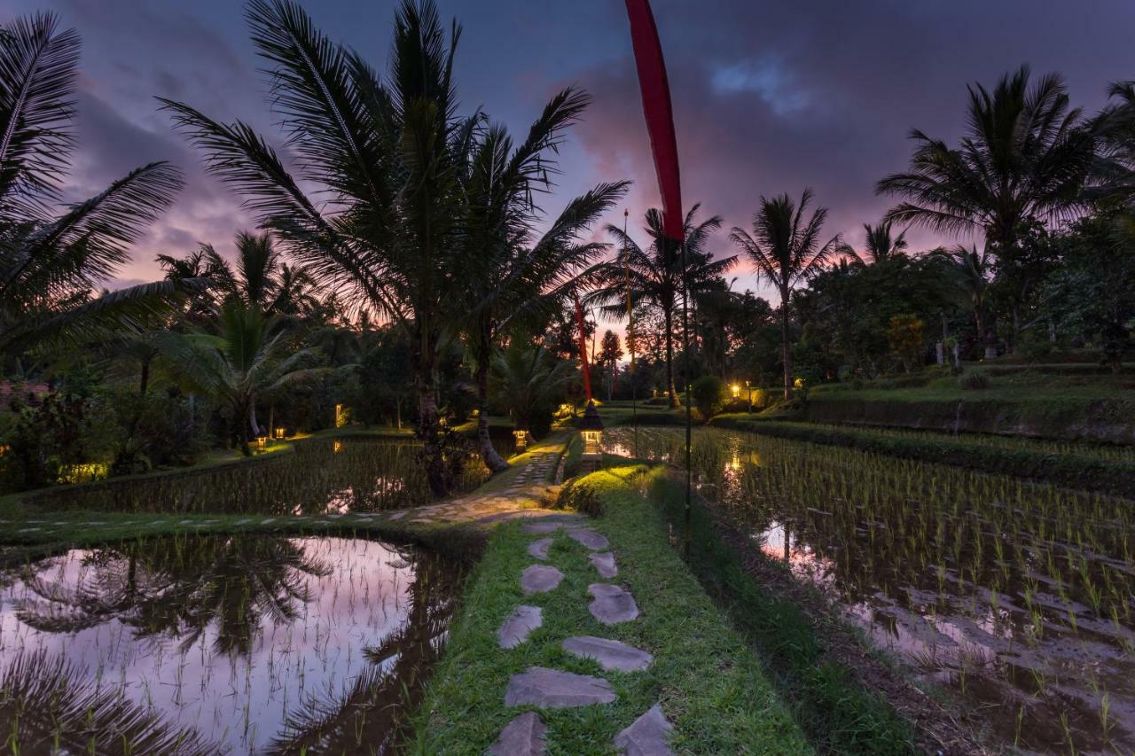 Prana Dewi Mountain Resort Jatiluwih Exteriér fotografie