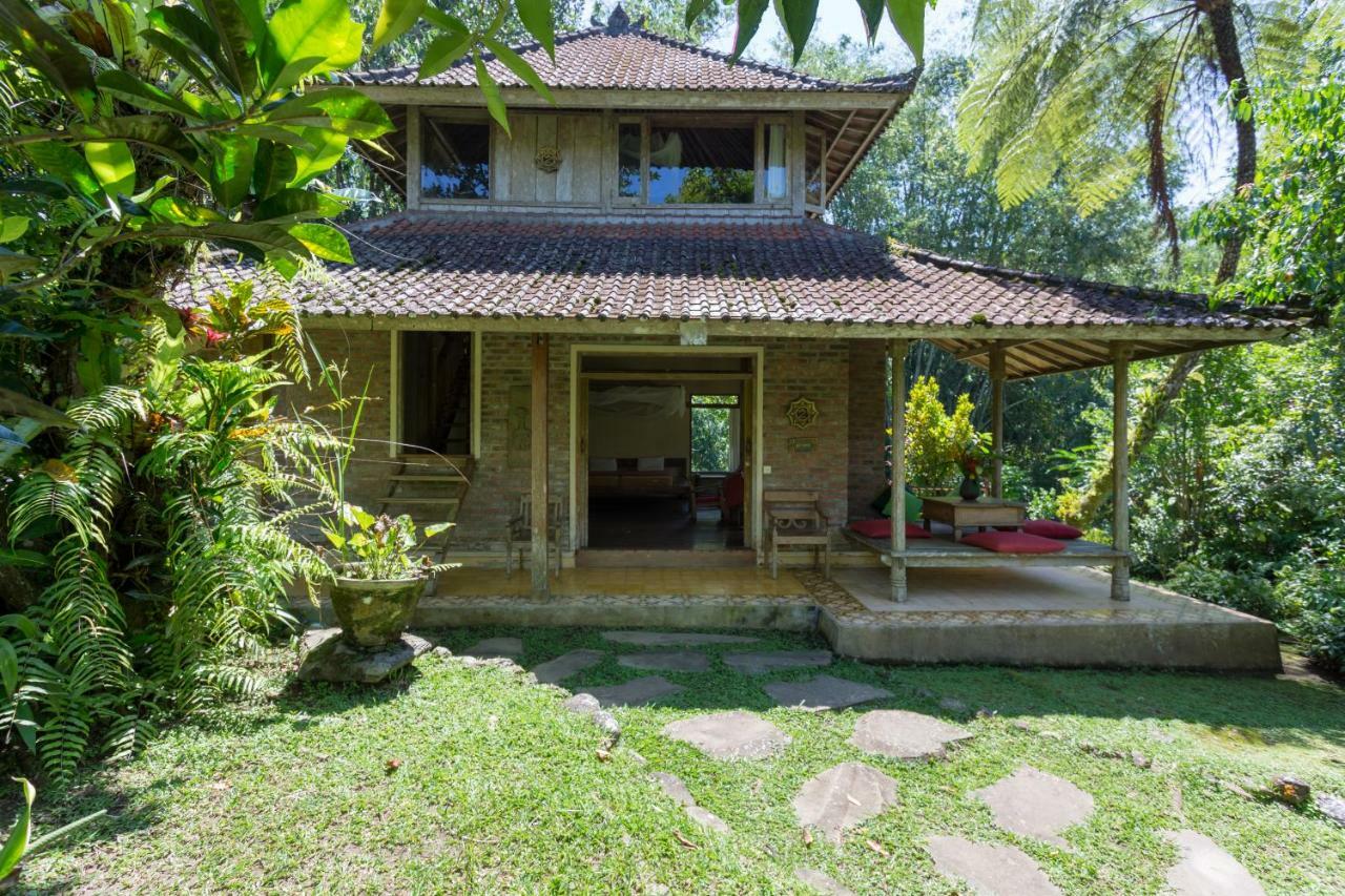 Prana Dewi Mountain Resort Jatiluwih Pokoj fotografie