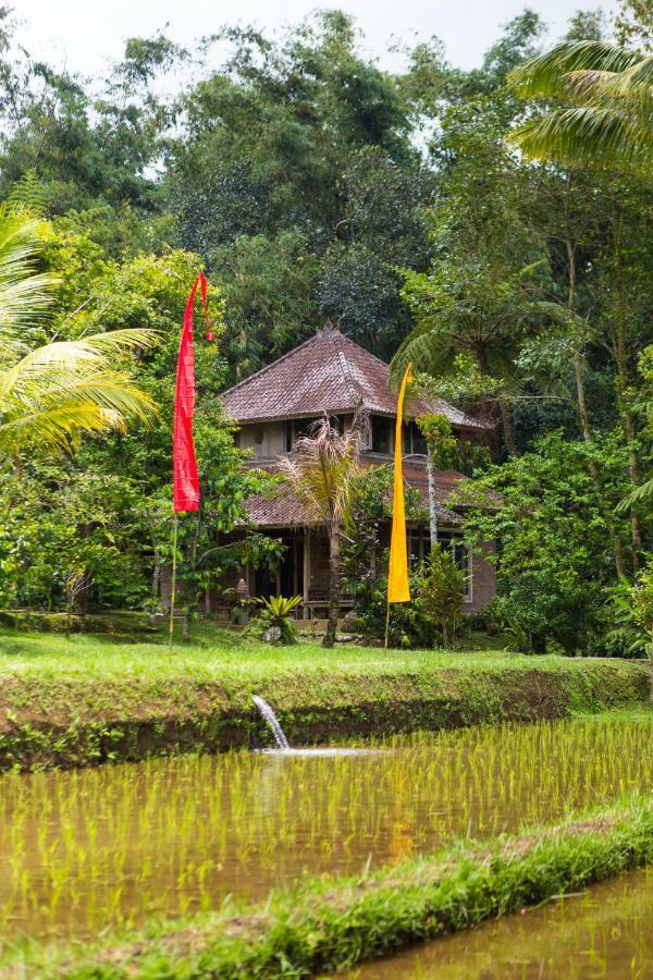 Prana Dewi Mountain Resort Jatiluwih Exteriér fotografie