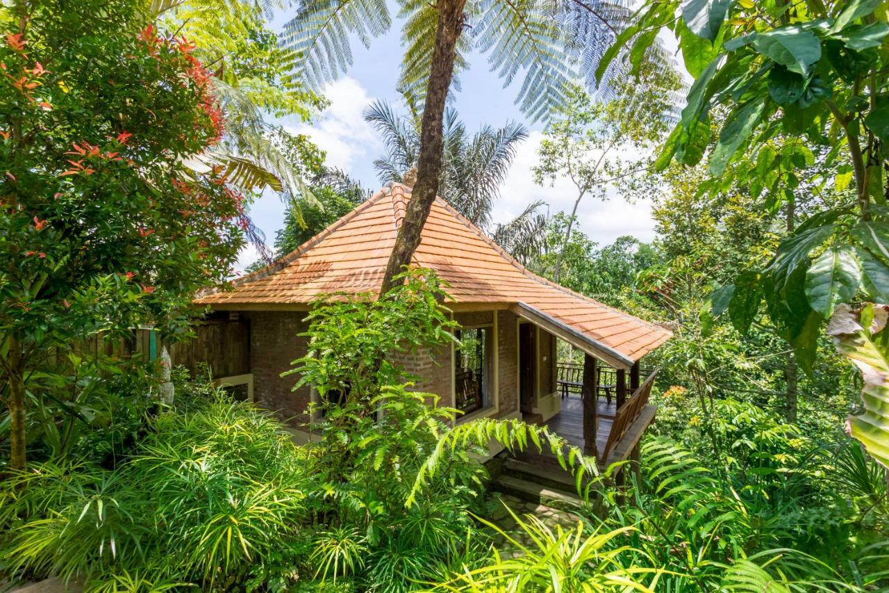 Prana Dewi Mountain Resort Jatiluwih Pokoj fotografie